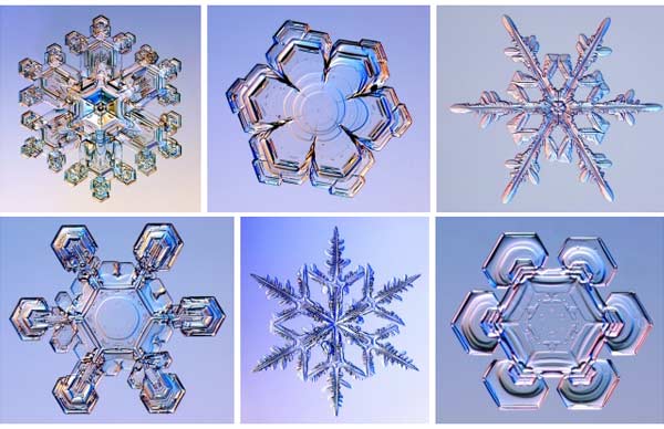 Awesome snow flake photos from SnowCrystals.com