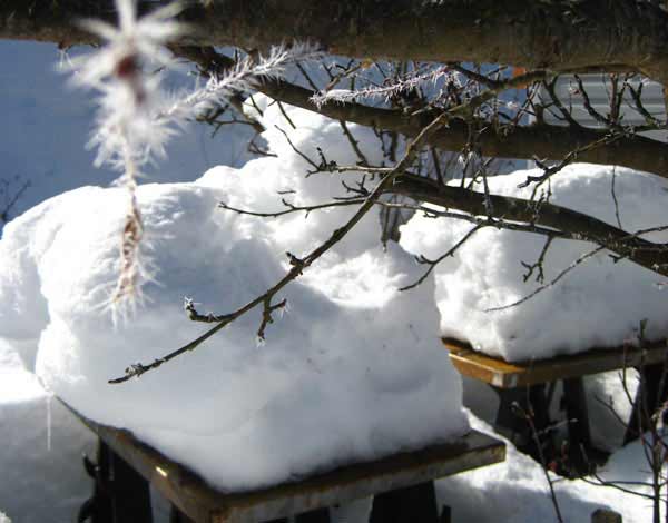 Metal panels rusting in winter