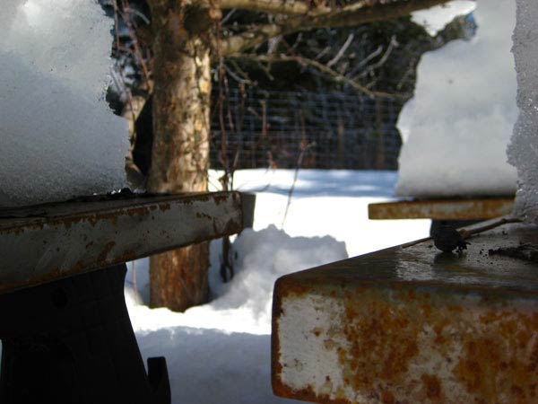 Metal panels rusting in winter